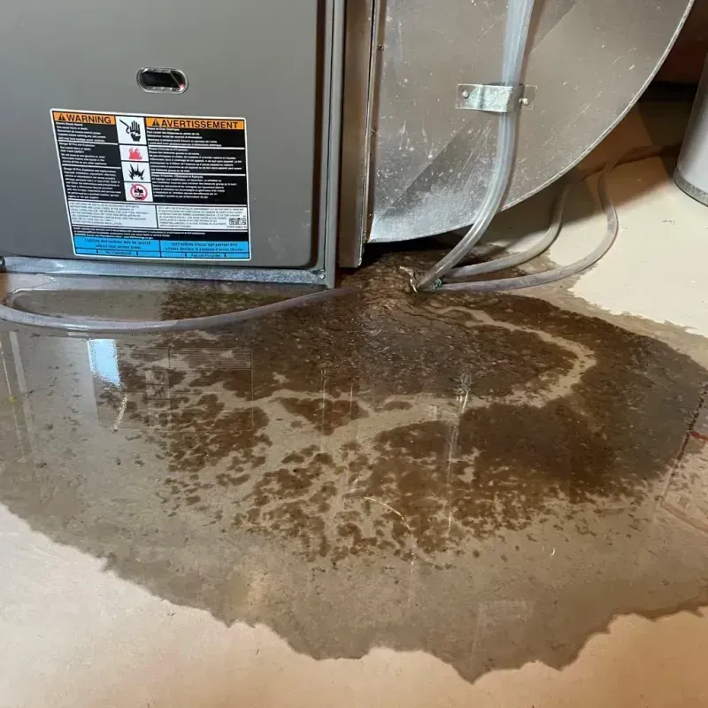 Appliance Leak Cleanup in Bishop, CA